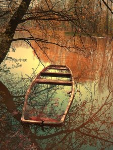 Photo by Sara Bernal