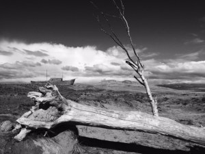 Photo by Anat Zecharia