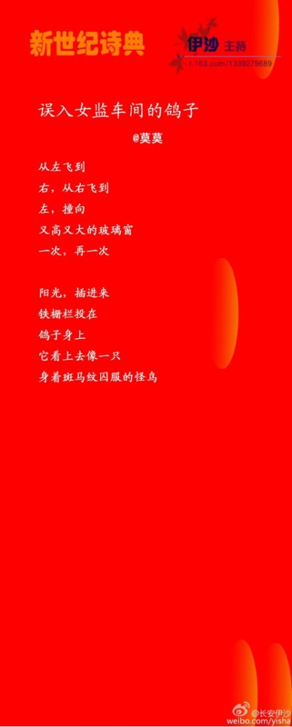 Taube im Frauengefaengnis