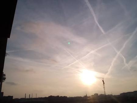 14700779_10153943023787227_7175356948554467950_o