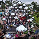 15591489_1756308921299674_7113423941506212366_o