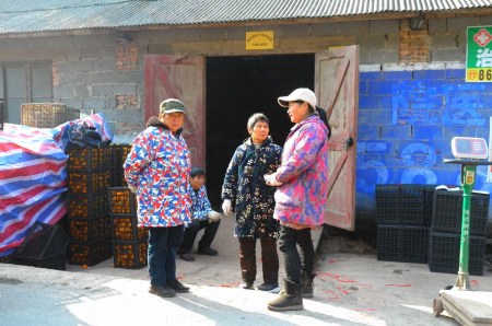 Pictures by Sha Kaige