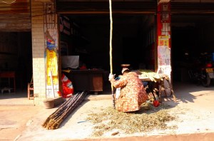 Pictures by Sha Kaige