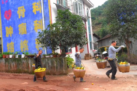 Pictures by Sha Kaige