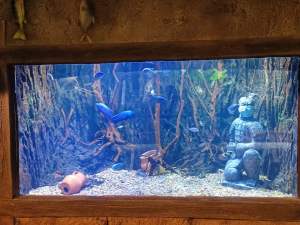 Photo by Zhu Jian (Xi'an maritime museum)