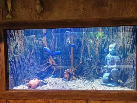 Photo by Zhu Jian (Xi'an maritime museum)