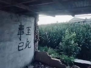 第51届口语诗奖 | 口语诗周刊 | 第171期 